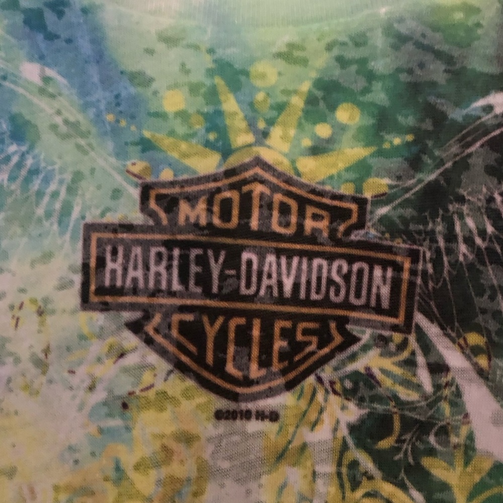 Harley-Davidson Licensed Burnout T-shirt